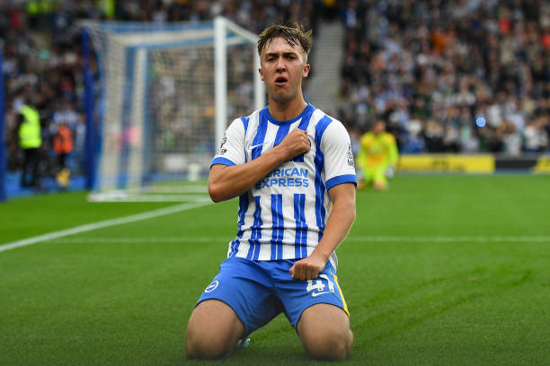 攻组织能力 攻组织能力