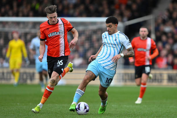 鎖定哈蘭德 鎖定哈蘭德