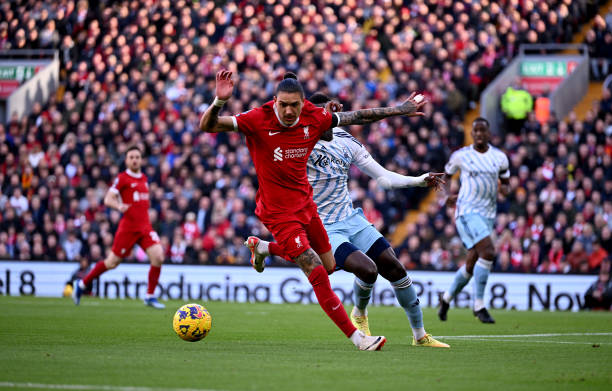 葡萄牙的后 葡萄牙的后